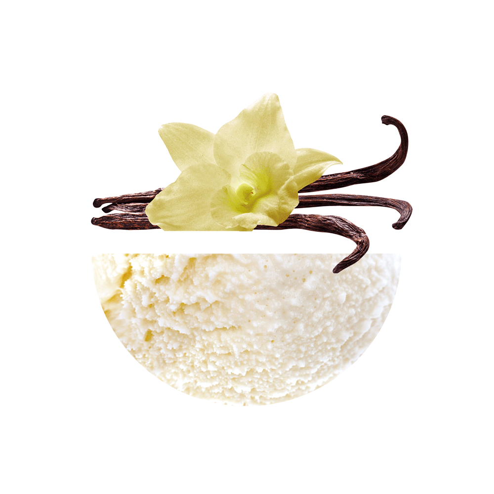 Prestige Vainilla de Madagascar 1200 grs