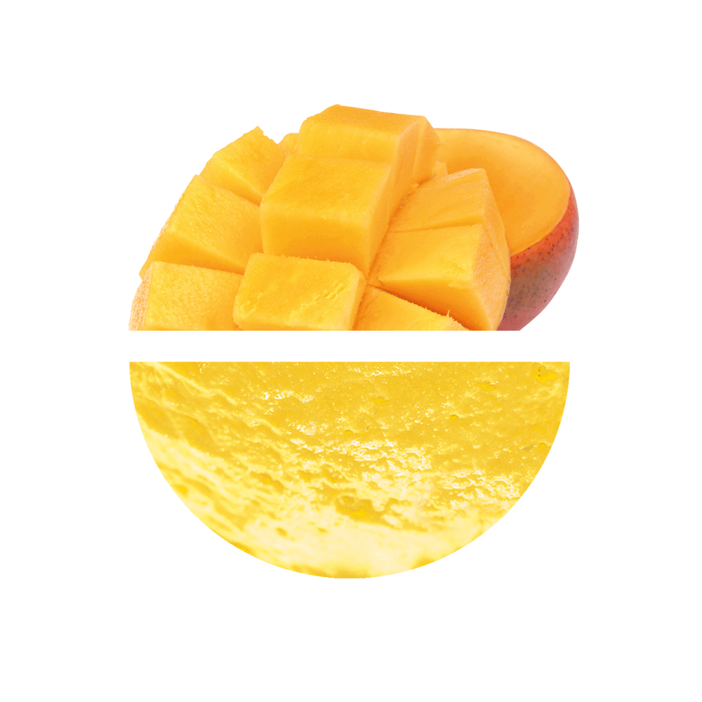 Prestige Sorbete Mango 3000 Grs