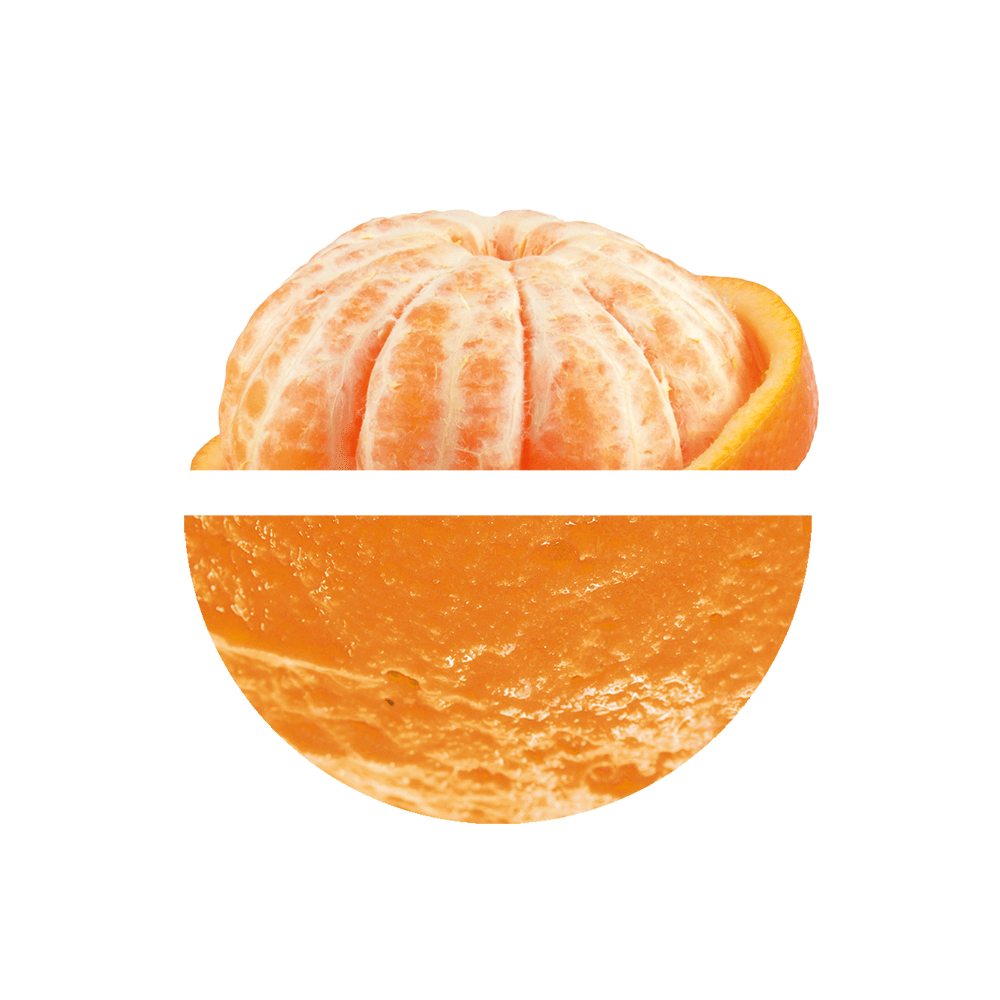 Prestige Sorbete Mandarina 3000 Grs