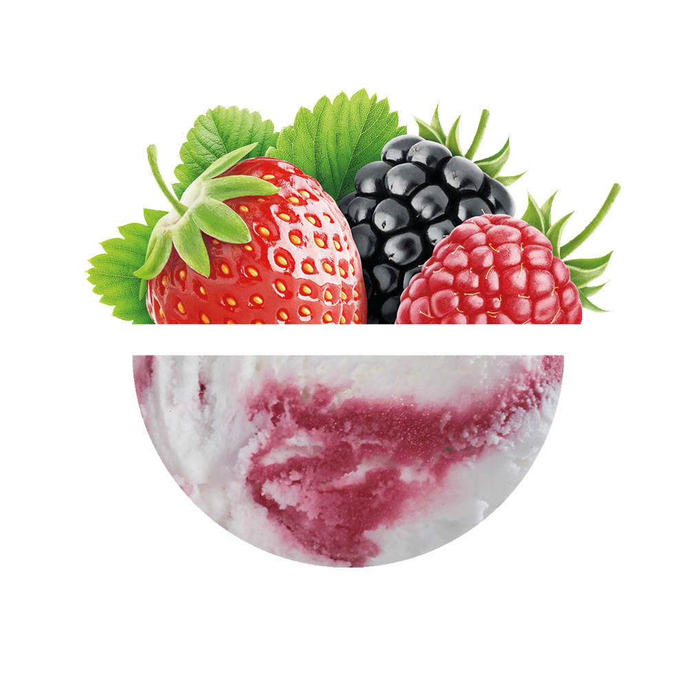 Prestige Frutos del Bosque 2700 Grs