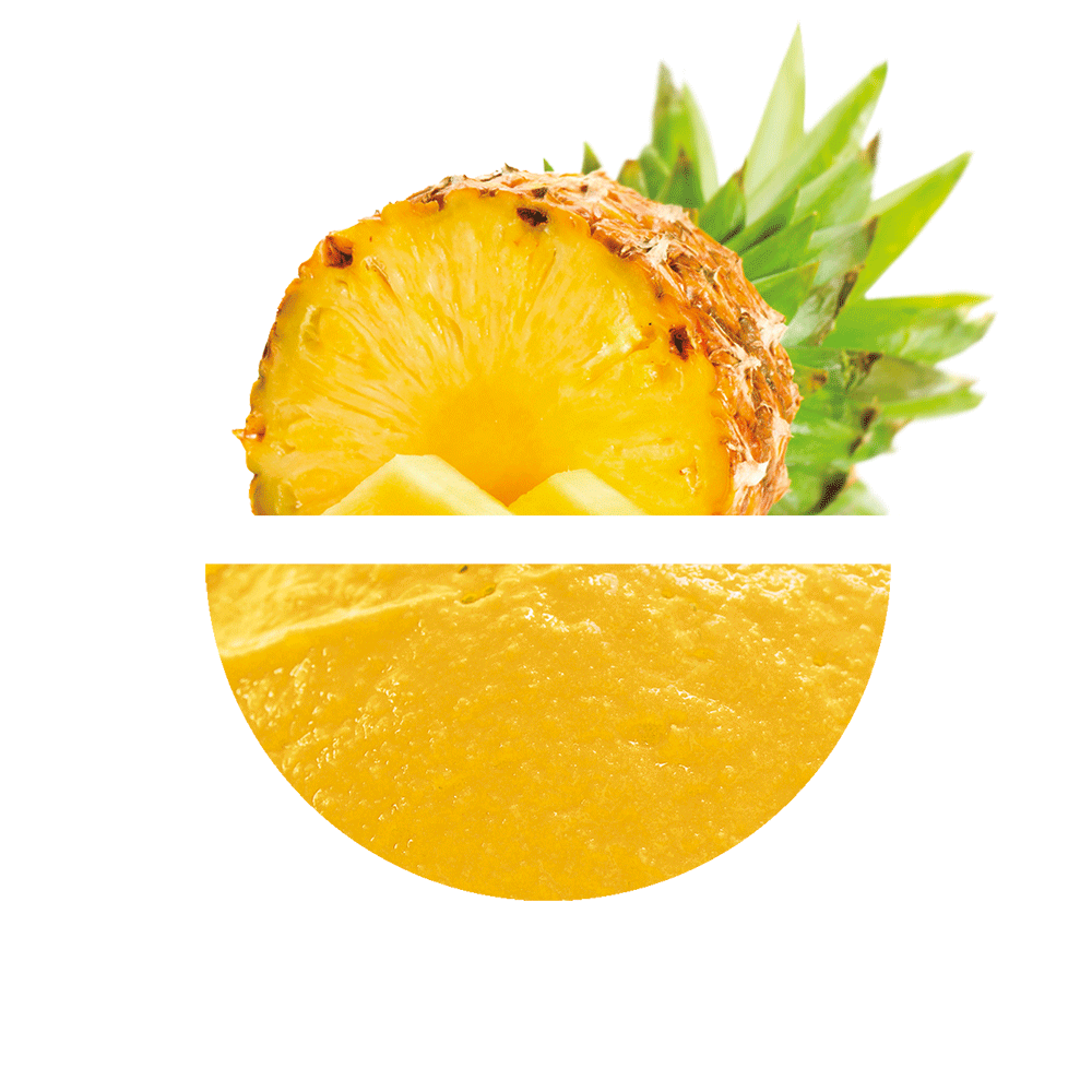 Prestige Piña 2700 Grs