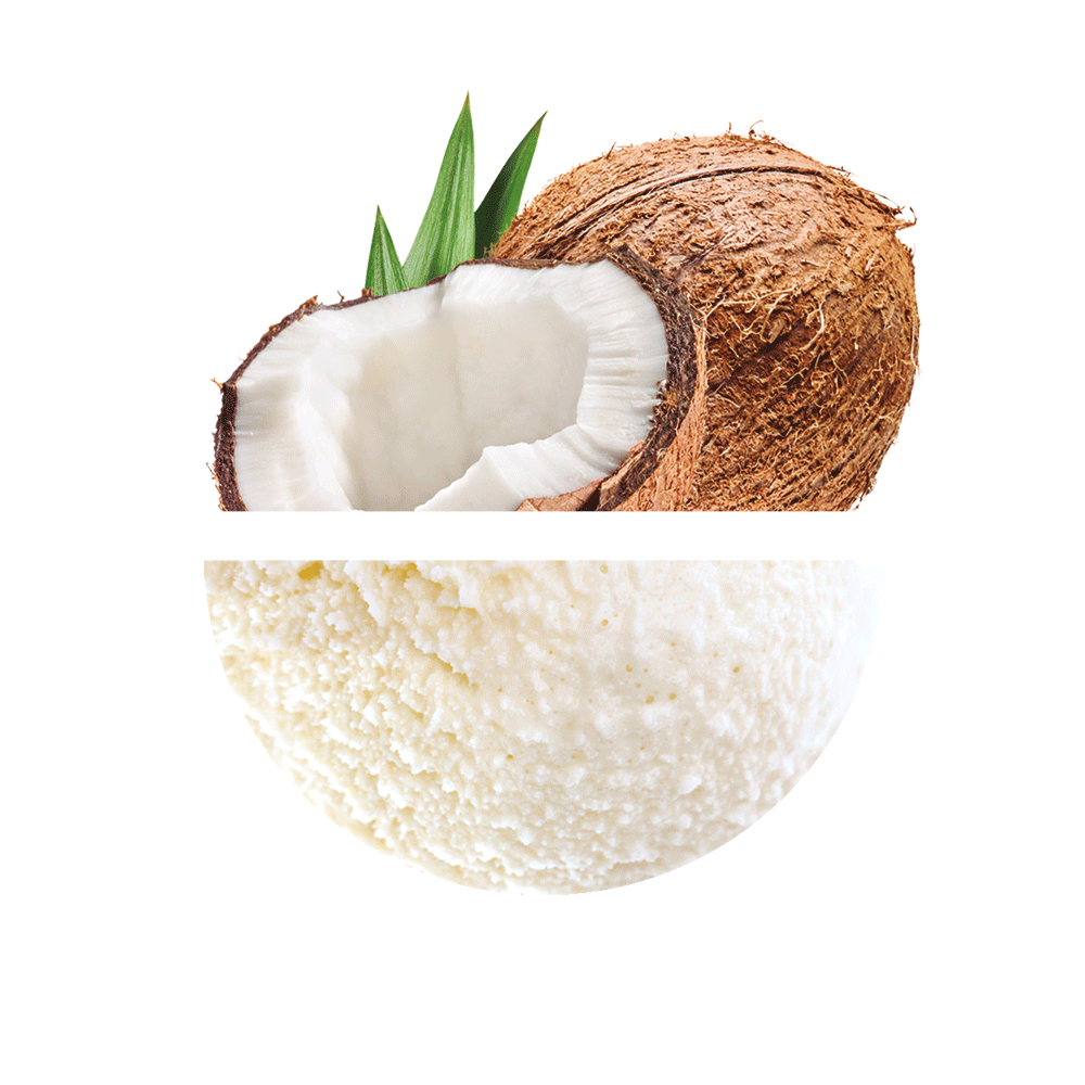Prestige Coco 2700 Grs